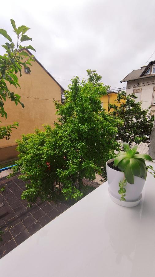 Mona Blue Apartment SJJ Exterior foto